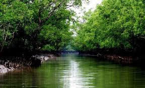 Sundarban tours